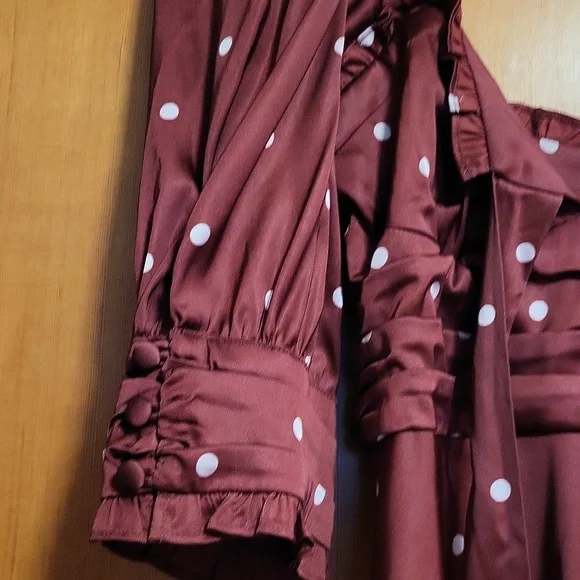 For Love And Lemons Davies Burgundy Polka Dot Swing Satin Dress - Picture 5 of 8